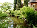 Pond below hot tub deck