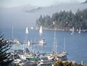 Morning mist on the harbour